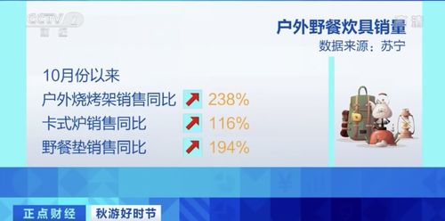 野餐熱潮帶動周邊產品銷量暴增，三河企業管理訂單火爆排至明年二月